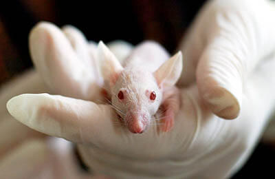 生物化學和生物技術實驗教學改革