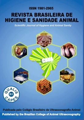巴西衛生與動物健康雜志