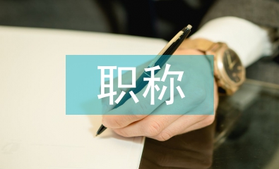 職稱專業技術工作總結