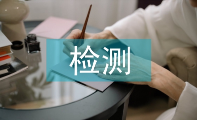 檢測年度工作總結