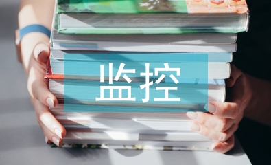 監控員轉正工作總結