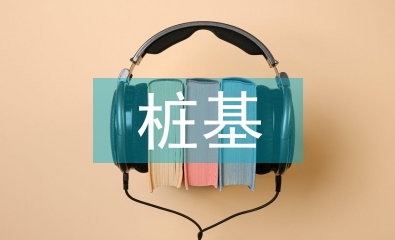旋挖樁基施工項(xiàng)目總結(jié)