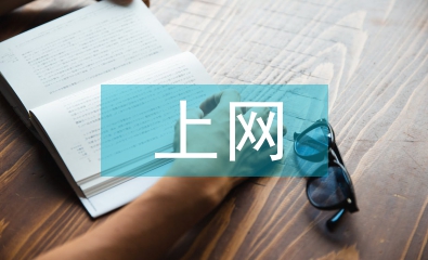 中學生上網調查報告