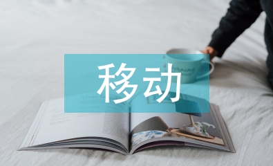 移動支付的問題