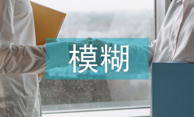 模糊數學論文