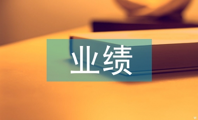 公司財務業績分析