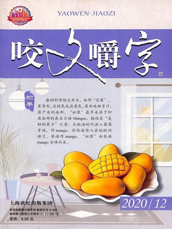 咬文嚼字雜志