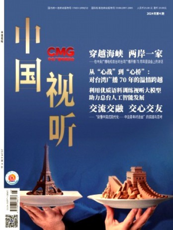 中國視聽雜志