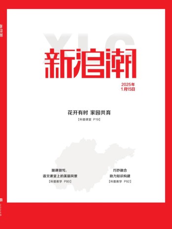 新浪潮雜志